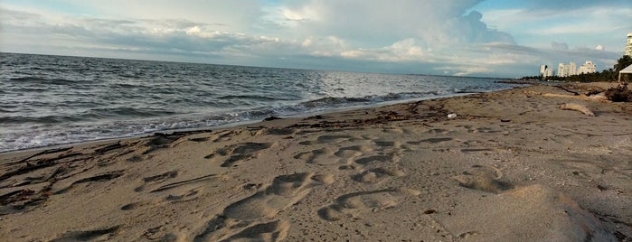 Playas de Coveñas is one of Sitios Visitados.