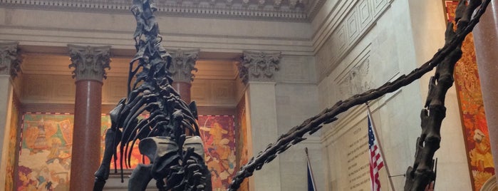 American Museum of Natural History is one of NYC!.