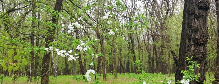 Парк ім. Ю. Гагаріна / Gagarin Park is one of список1.