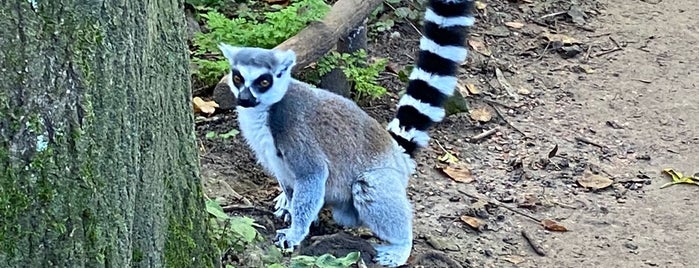 Vogelpark Avifauna is one of All-time favorites in Nederland.