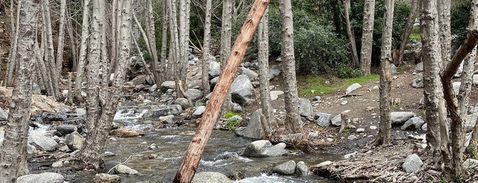 Etiwanda Preserve Waterfall is one of LA adjacent.