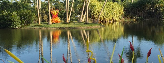 Fairchild Tropical Botanic Garden is one of Miami - South Beach 2015.
