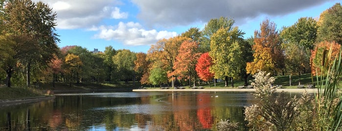 Parc La Fontaine is one of Montreal, Canada.