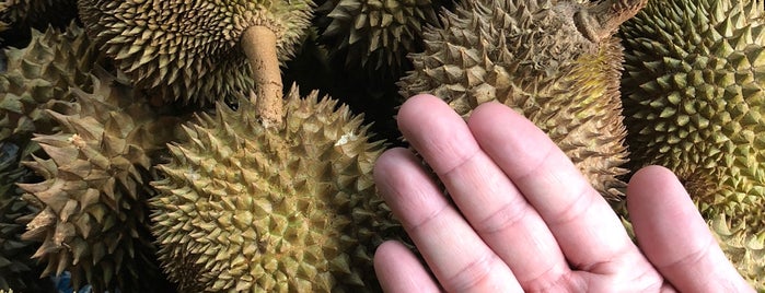 Hoe Seng Heng Durian Centre is one of Singapore Food.