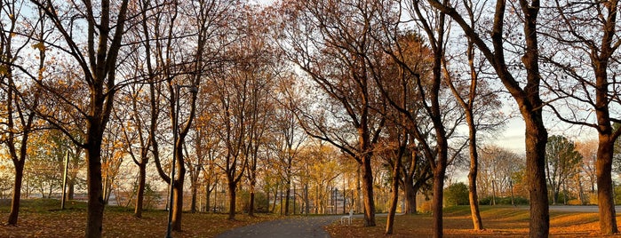 Samppalinnanpuisto is one of Parks.