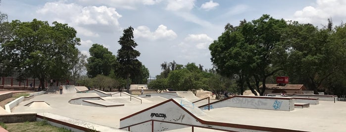 Montenegro Skatepark is one of To do- Guadalajara.