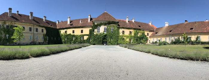 Schloss Kohfidisch is one of Austria.