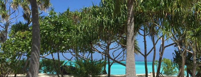 Tetiaroa is one of Lieux qui ont plu à Nedy Lutfi.