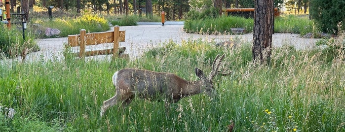 Lookout Mountain Nature Center is one of Everywhere I've been in the Denver Metro.