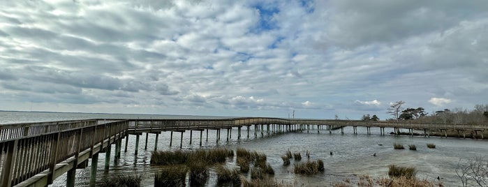 Duck Soundside Boardwalk is one of OUter Banks Area.