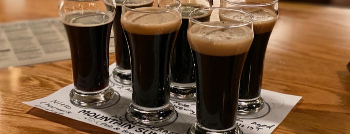 Vine Street Pub & Brewery is one of aPerfectBrewski Craft Beer List.