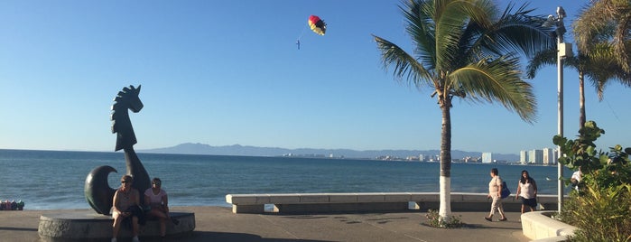 Malecón Puerto Vallarta is one of Ana Luciaさんのお気に入りスポット.