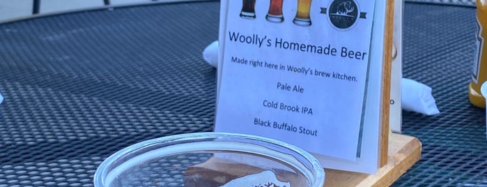 Woolly’s Grill & Cellar is one of Visit With My Husband.