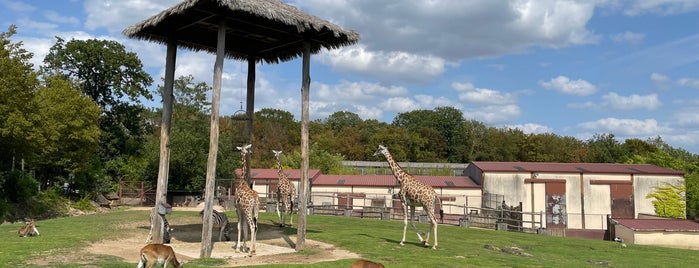 Zoo Amneville is one of 3 day trips in Europe 🛩️.