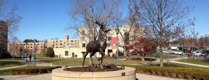 Fairfield University - Regina A. Quick Center for the Arts is one of Lugares favoritos de Ian.