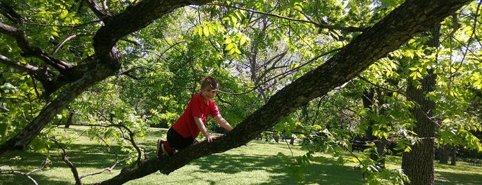 Gracywoods Park is one of Lieux qui ont plu à Jonathon.