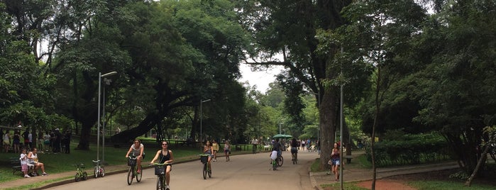 Parque Ibirapuera is one of Orte, die Felipe gefallen.