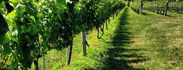 Wölffer Estate Vineyards is one of BdayThon Weekend!.