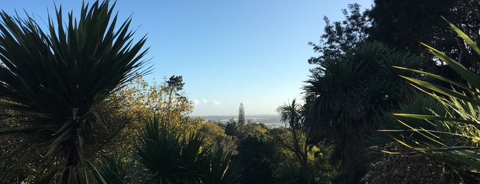 Western Park Scenic Lookout is one of Auckland.