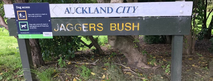 Jaggers Bush is one of Auckland Central Western Parks.