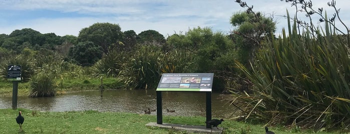 Tahuna Torea Reserve is one of Auckland.
