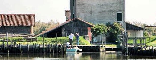 Valle Perini is one of Isole in Rete, il festival della Laguna di Venezia.