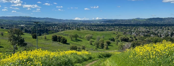 Lime Ridge Open Space is one of East bay to do.