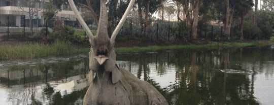 Page Museum at the La Brea Tar Pits is one of CA.