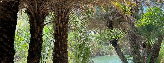Palm Forest is one of Kreta.