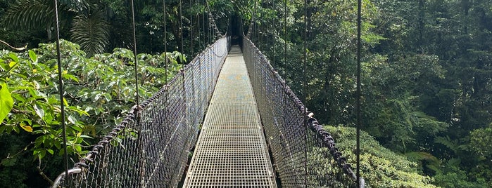 Mistico Park Arenal Hanging Bridges is one of สถานที่ที่ SKW ถูกใจ.