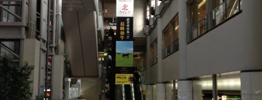 Terminal 1 is one of Japan.