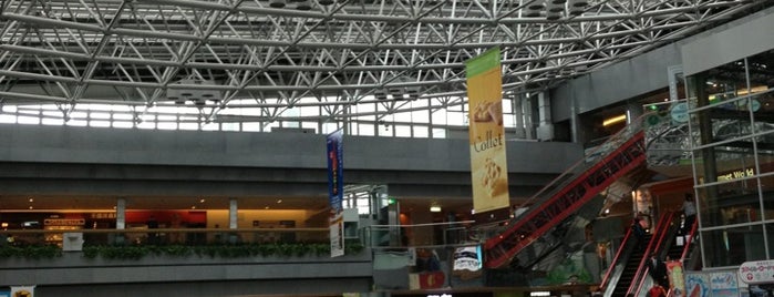 New Chitose Airport (CTS) is one of Airport.