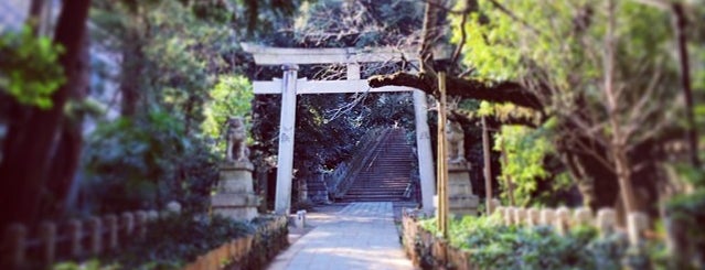 赤坂氷川神社 is one of #SHRINEHOPPERS.
