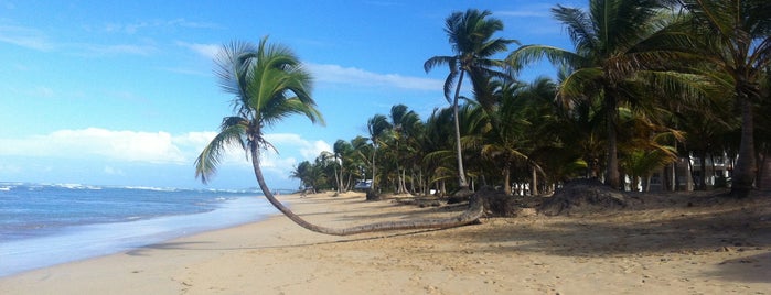 Playa Uvero Alto is one of สถานที่ที่ Hamilton ถูกใจ.
