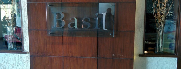 Basil - A Veg Affair is one of india.