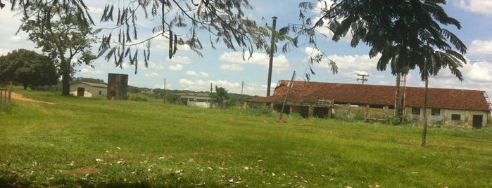 Escola de Agronomia e Engenharia de Alimentos (EA) is one of UFG Campus II (Samambaia).