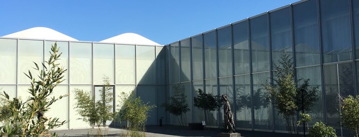 North Carolina Museum of Art is one of Raleigh.