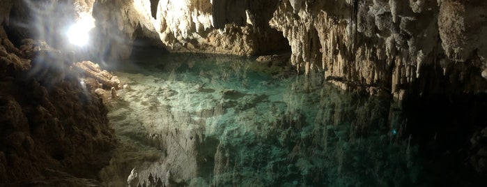 Cenote Zapote is one of Lizさんのお気に入りスポット.