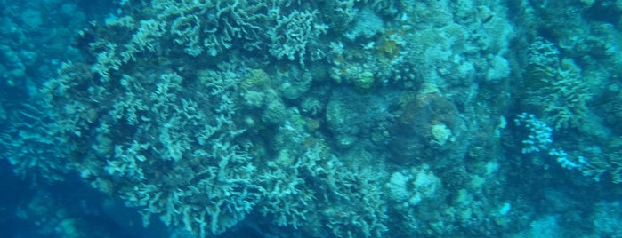 Columbia Reef is one of Mexico.