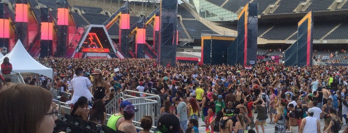 Spring Awakening Music Festival is one of yearly events in chicagoland area.