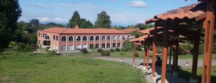 Colegio Sagrados Corazones is one of COLEGIOS.