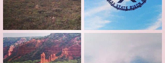 Caprock Canyons State Park is one of Locais curtidos por Katya.