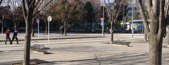 向河原駅前広場公園 is one of 小杉駅東部地区 - 武蔵小杉.