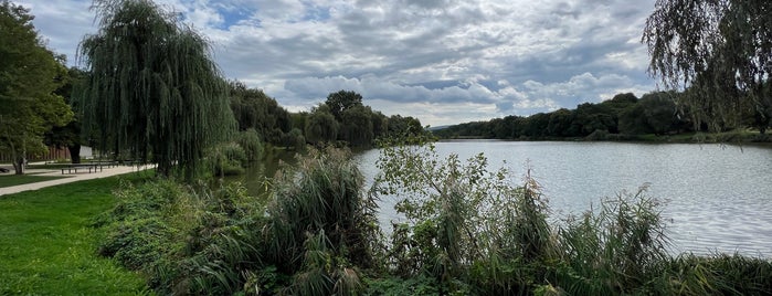 Majki-tó is one of Szórakozás.