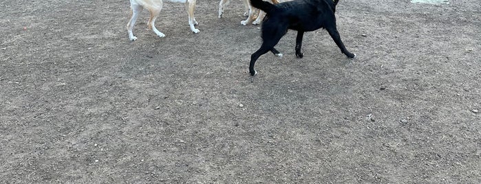 Meadows Foundation Dog Park is one of Dog Friendly.