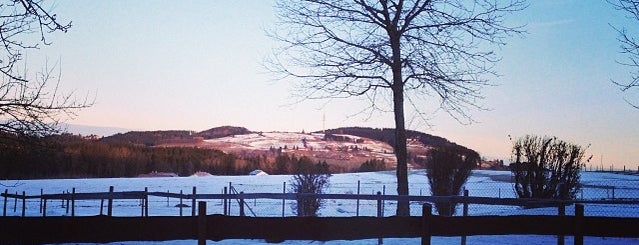 Buchenberg is one of Germany X-Mas 2013.