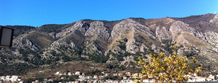 Mondo is one of Kotor, Montenegro.
