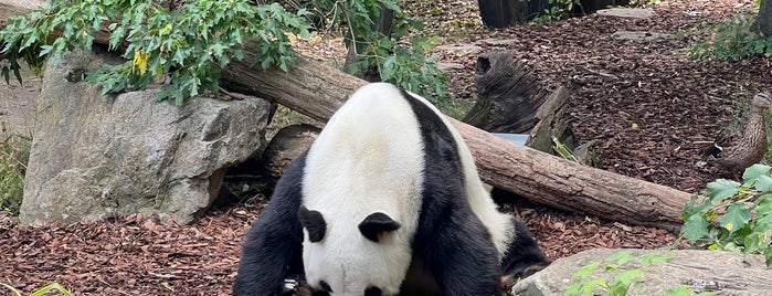 Pandagehege is one of Karl 님이 좋아한 장소.