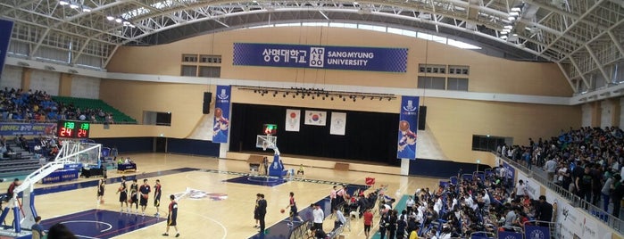 상명대학교농구코트 SangMyung University Basketball Court is one of sangmyeung.