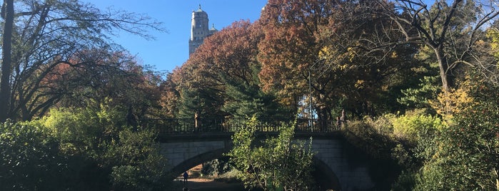 Central Park is one of Locais curtidos por JoAnne.